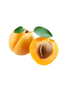 Abricots - Abricot