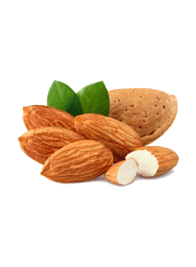 Amandes - Amande