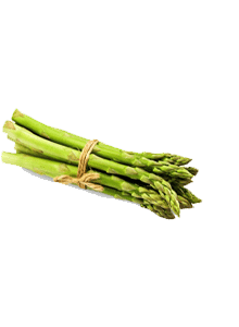 Asperges - Asperge