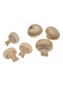 Champignons - Champignon