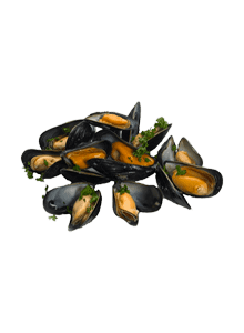 Moules - Moules