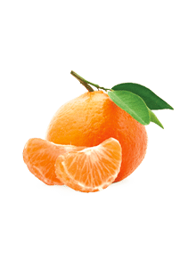 Mandarines - Mandarine